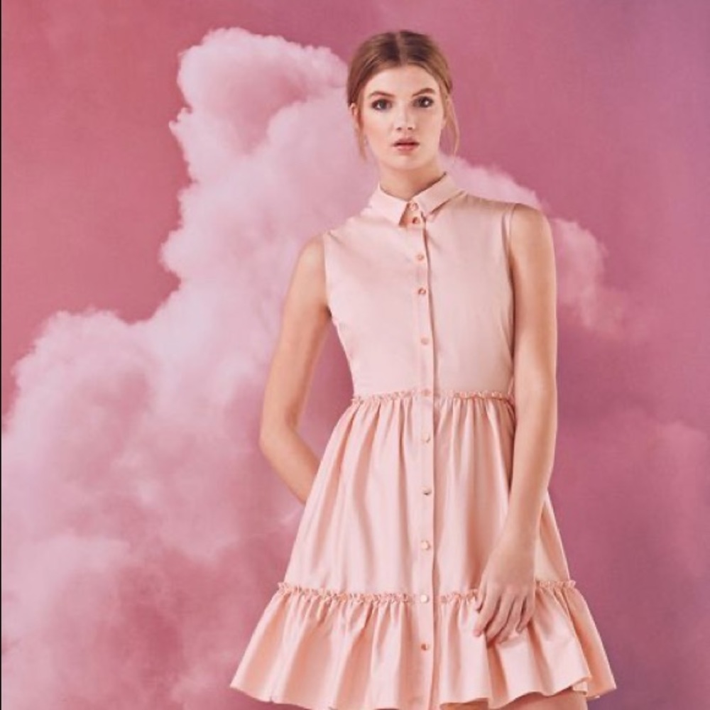 NWT Ted Baker dusty rose sleeveless dress
